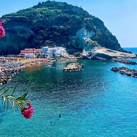 Mare Nostrum - Beachfront House - Sant'Angelo Ischia Dış mekan fotoğraf