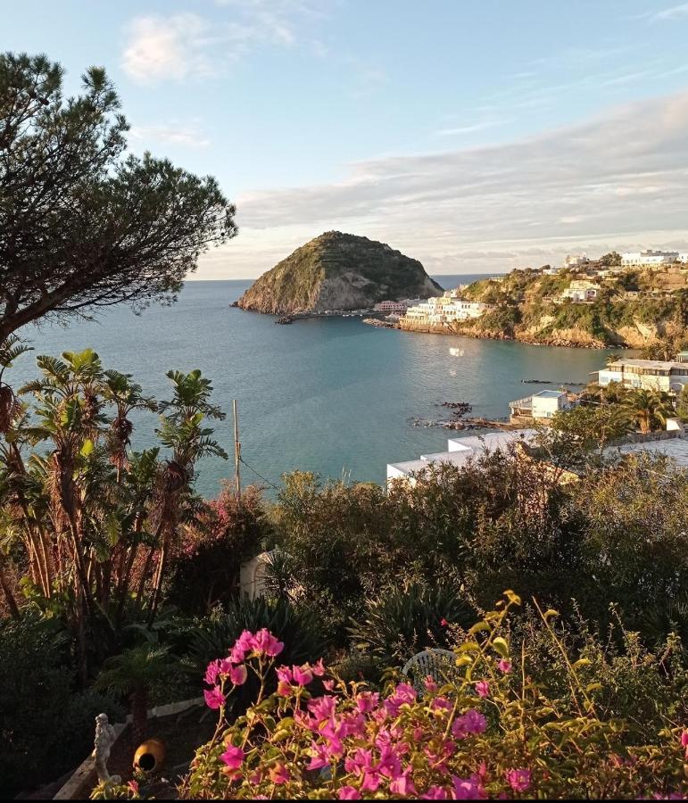 Mare Nostrum - Beachfront House - Sant'Angelo Ischia Dış mekan fotoğraf