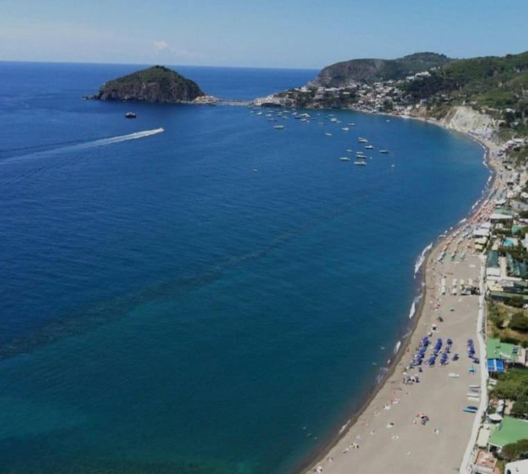 Mare Nostrum - Beachfront House - Sant'Angelo Ischia Dış mekan fotoğraf
