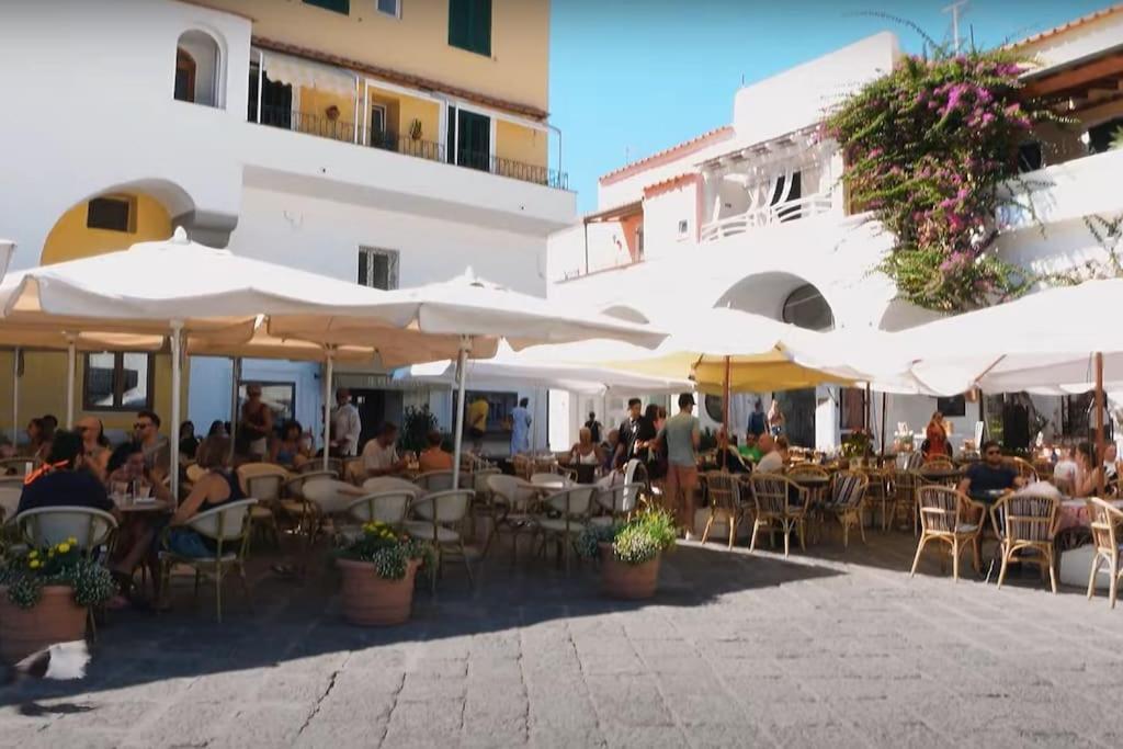 Mare Nostrum - Beachfront House - Sant'Angelo Ischia Dış mekan fotoğraf