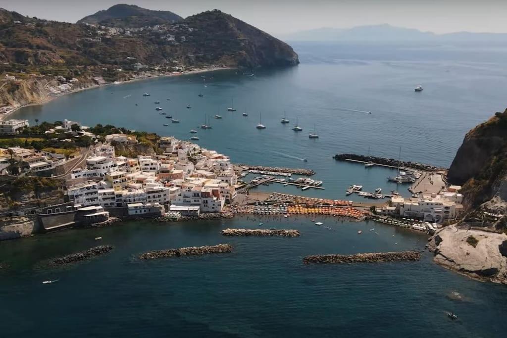 Mare Nostrum - Beachfront House - Sant'Angelo Ischia Dış mekan fotoğraf