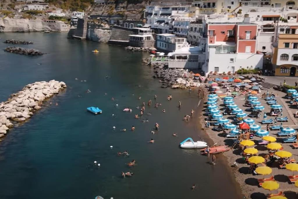 Mare Nostrum - Beachfront House - Sant'Angelo Ischia Dış mekan fotoğraf