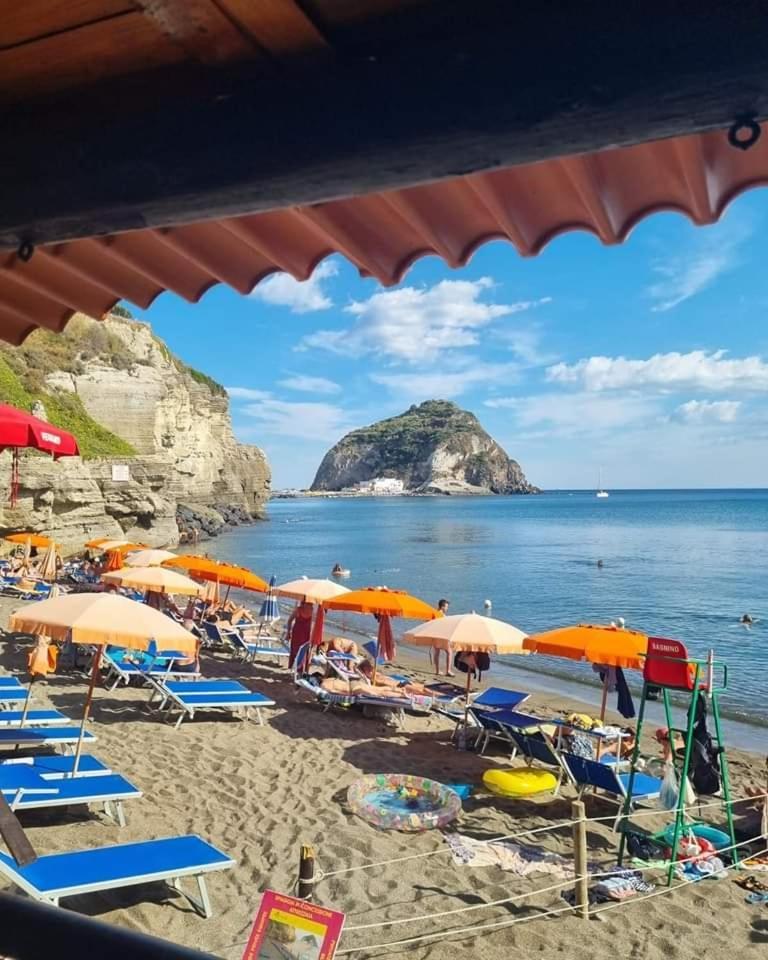 Mare Nostrum - Beachfront House - Sant'Angelo Ischia Dış mekan fotoğraf